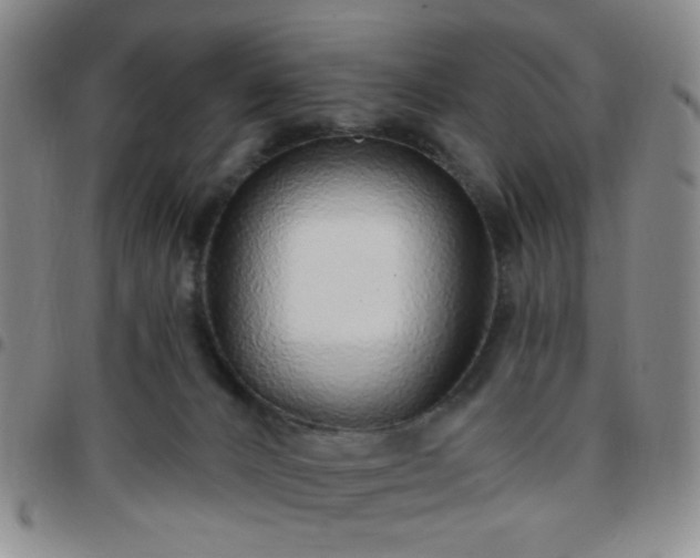 X0000097770032200803141755