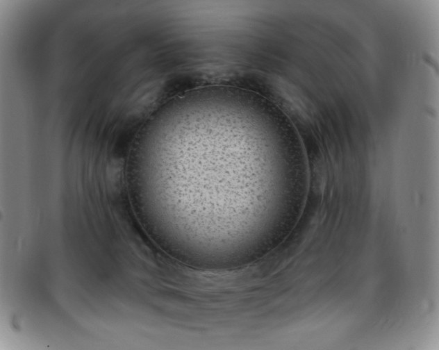 X0000097770034200803141755