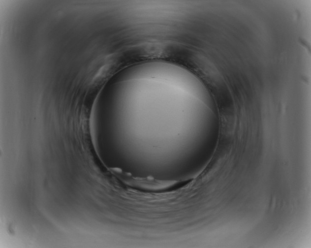 X0000097770035200803141755