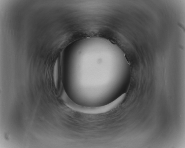 X0000097770037200803141755