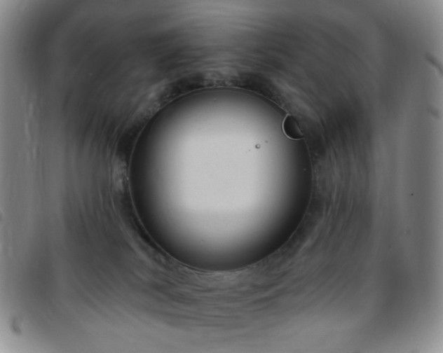 X0000097770038200803141755