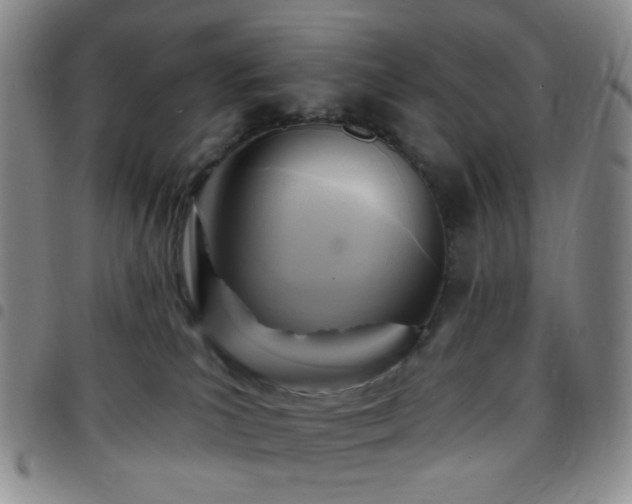 X0000097770039200803141755
