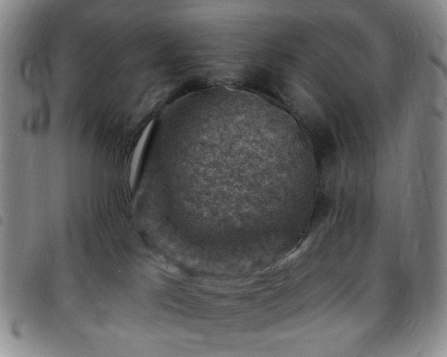 X0000097770041200803141755