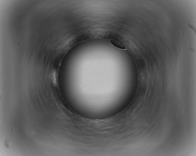 X0000097770042200803141755