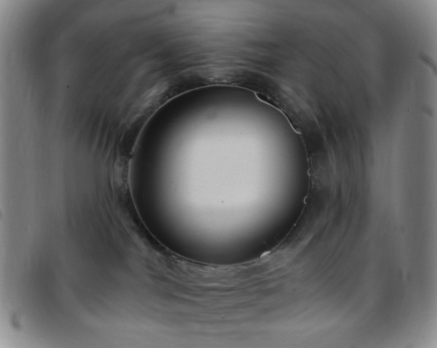X0000097770044200803141755