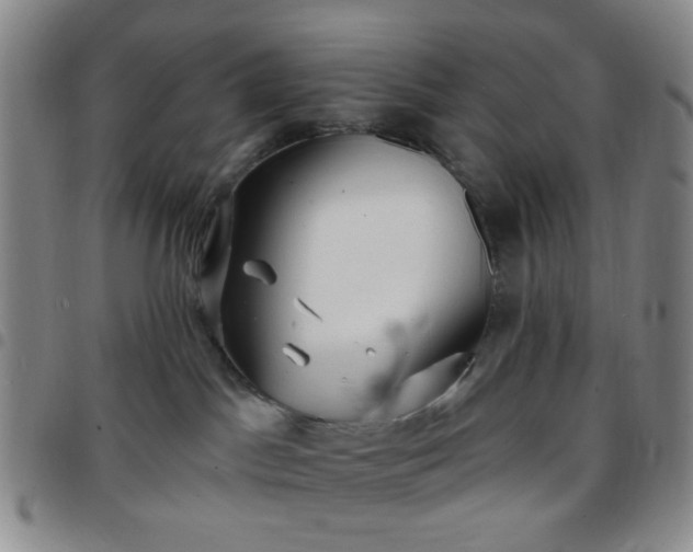 X0000097770045200803141755