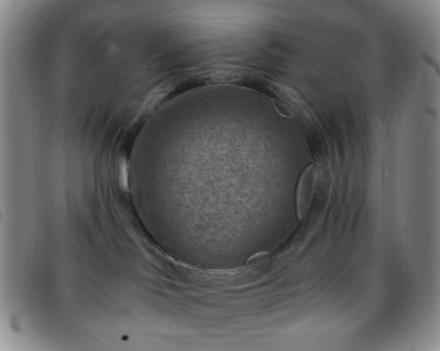 X0000097770046200803141755