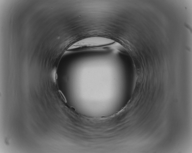 X0000097770047200803141755