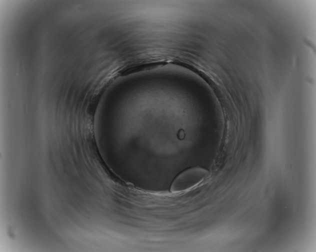 X0000097770048200803141755