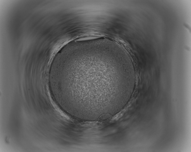 X0000097770049200803141754