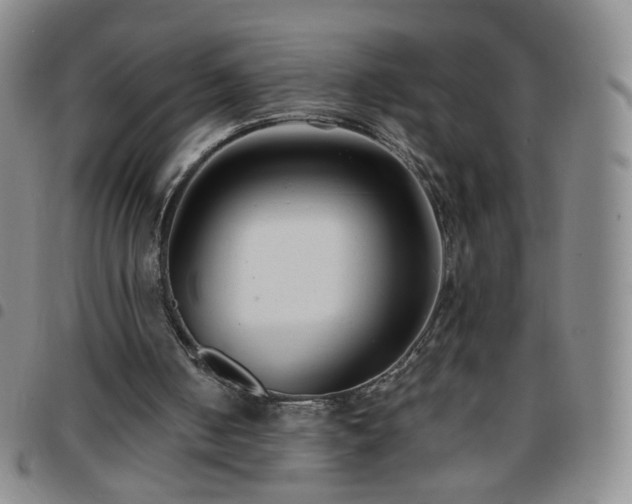 X0000097770050200803141754