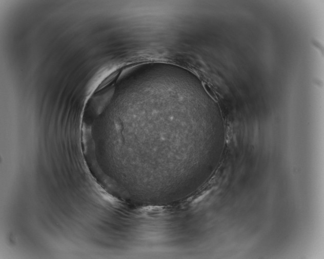 X0000097770052200803141754