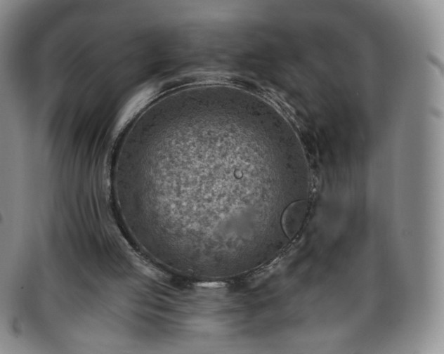 X0000097770053200803141754