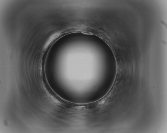 X0000097770054200803141754
