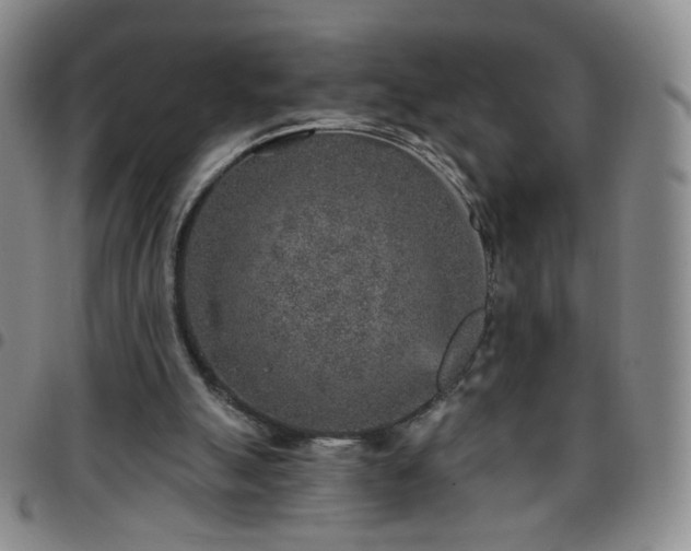 X0000097770055200803141754