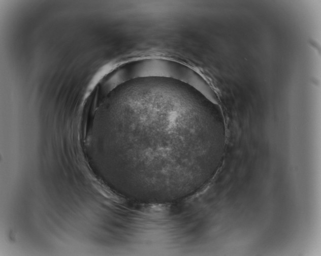 X0000097770056200803141754