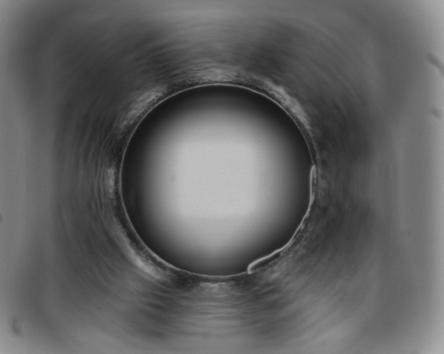 X0000097770057200803141754