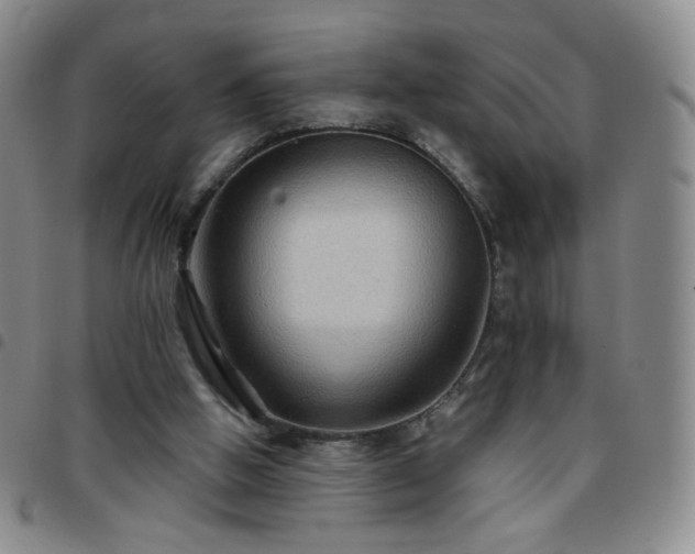 X0000097770058200803141754