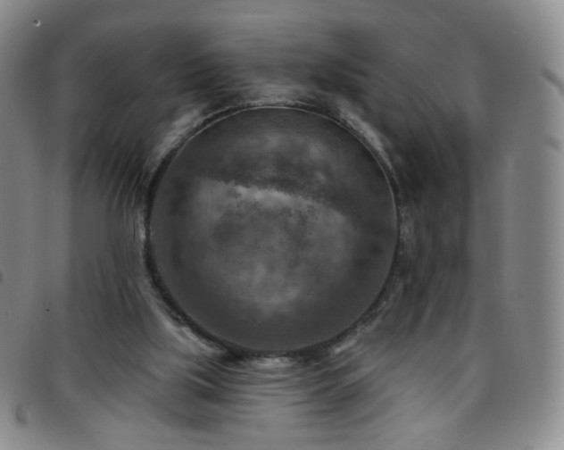 X0000097770059200803141754