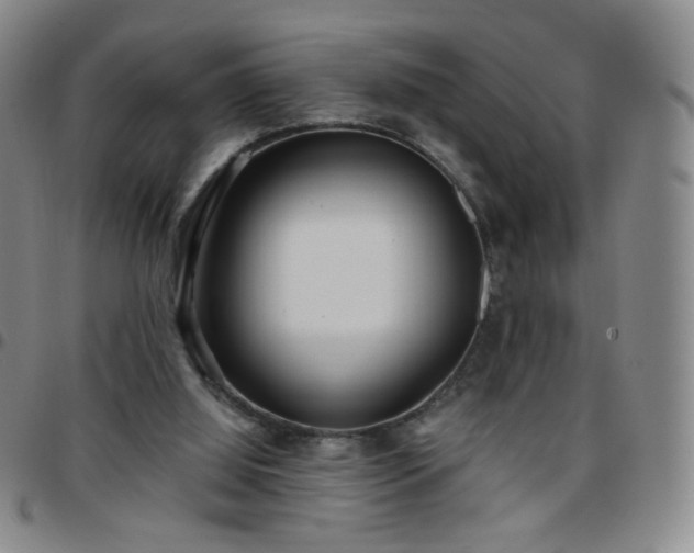 X0000097770060200803141754