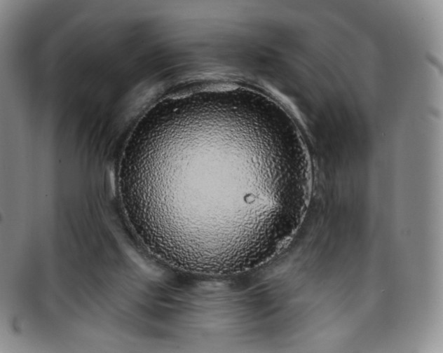 X0000097770061200803141754