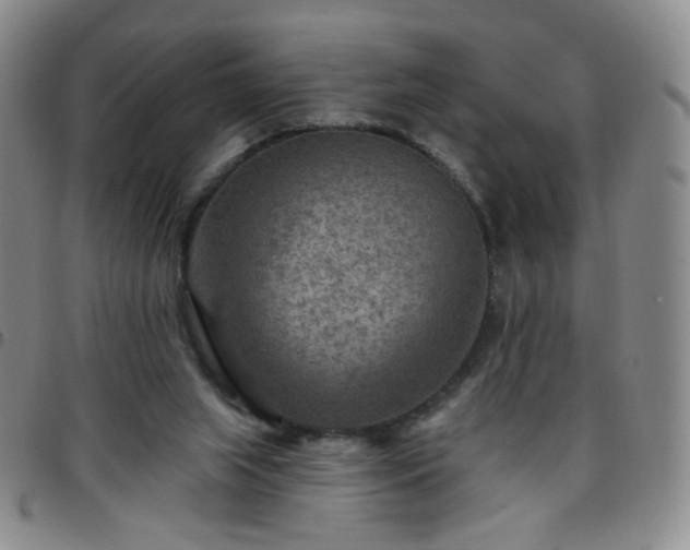 X0000097770063200803141754