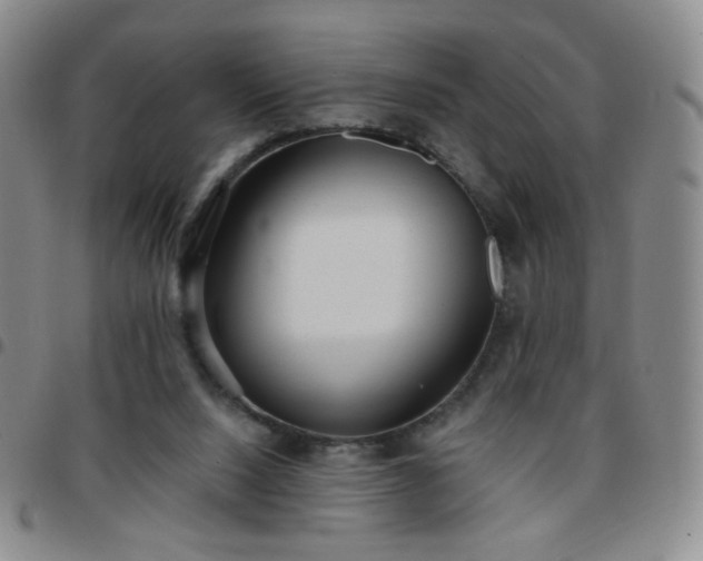 X0000097770064200803141754