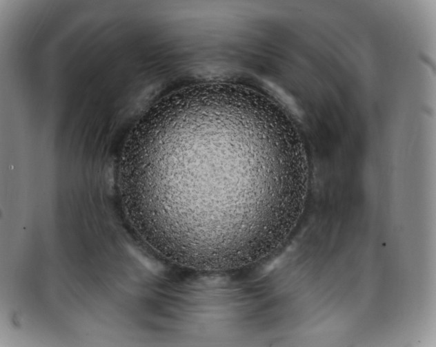 X0000097770065200803141754