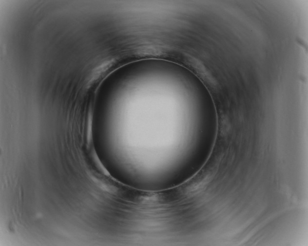 X0000097770068200803141754