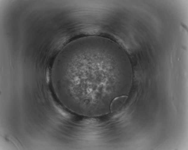 X0000097770069200803141754