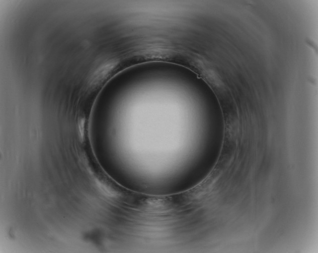 X0000097770070200803141754