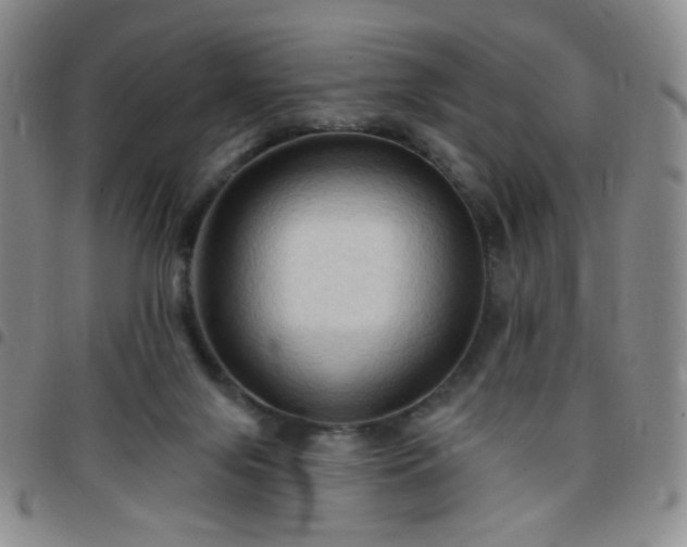 X0000097770071200803141754