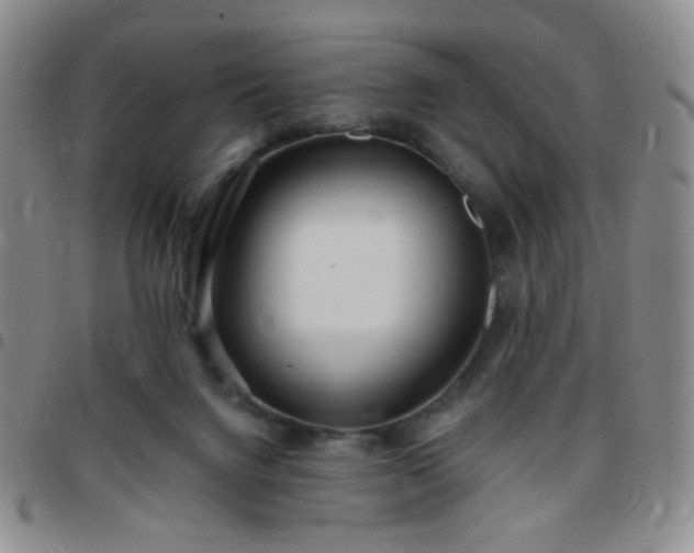 X0000097770072200803141754