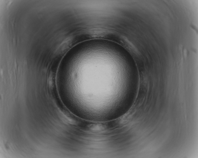 X0000097770074200803141754