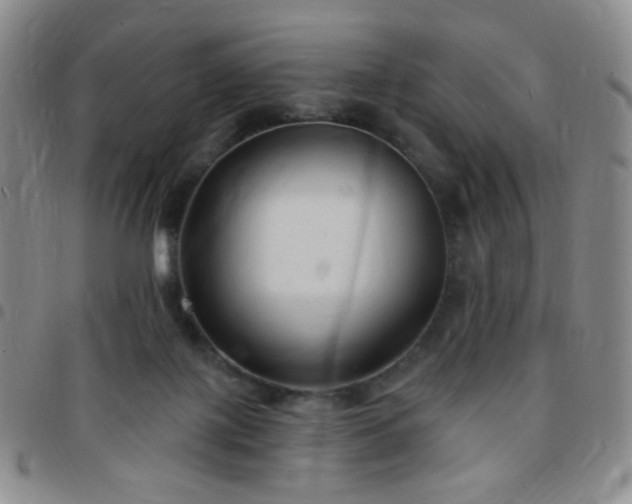 X0000097770075200803141754