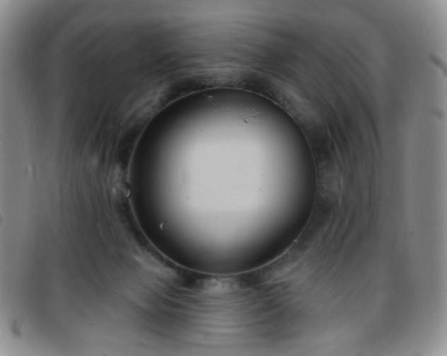 X0000097770077200803141754