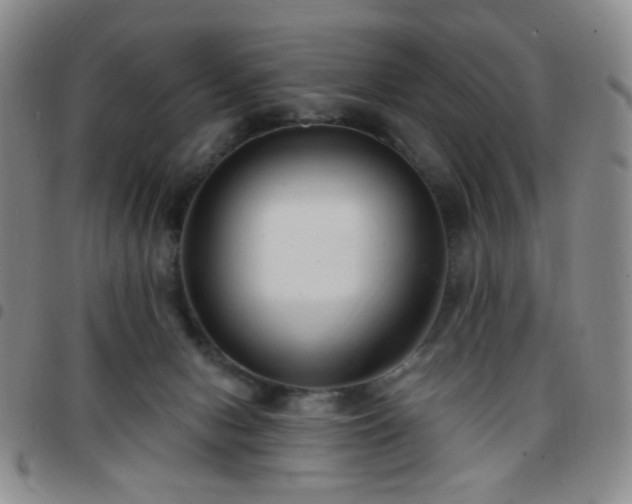 X0000097770078200803141754