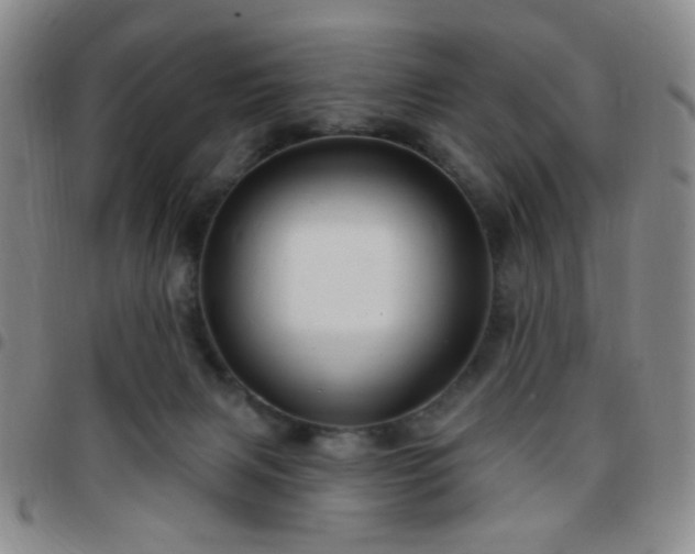 X0000097770079200803141754