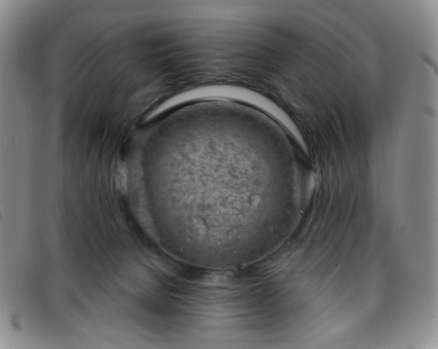 X0000097770080200803141754
