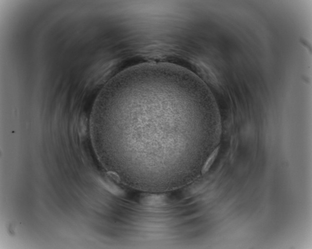 X0000097770081200803141754