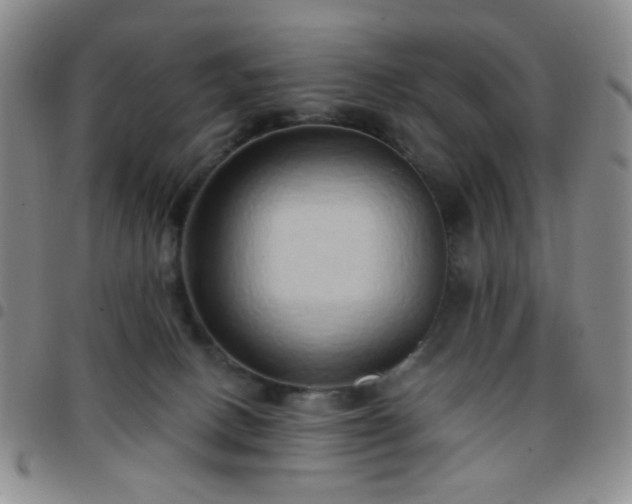 X0000097770082200803141754