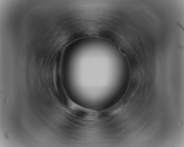 X0000097770084200803141755