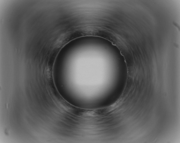 X0000097770086200803141755
