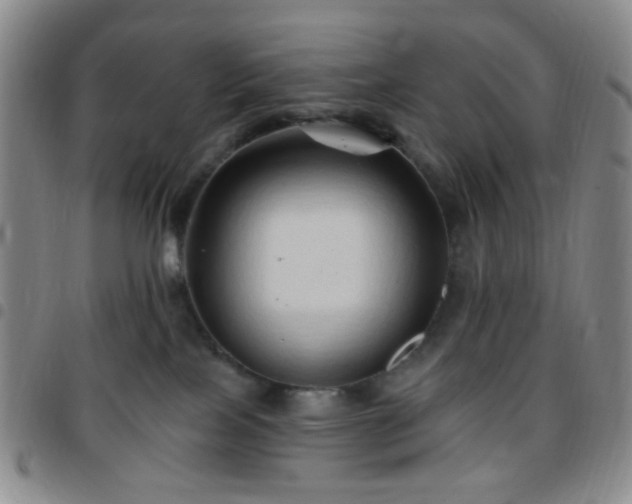 X0000097770089200803141755