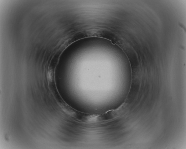 X0000097770090200803141755