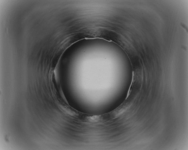 X0000097770092200803141755