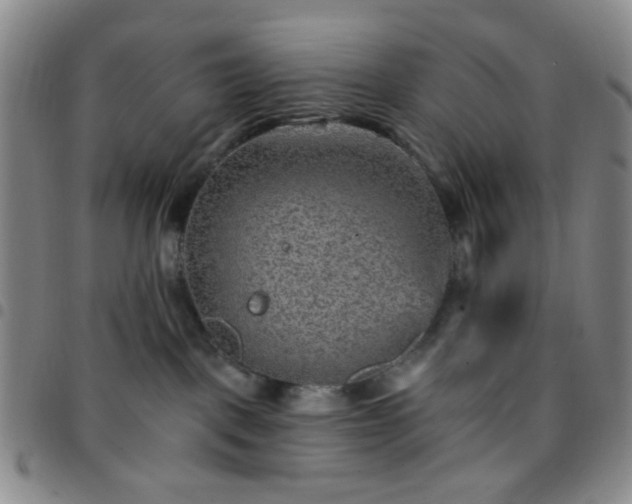X0000097770093200803141755