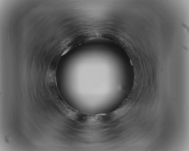 X0000097770096200803141755