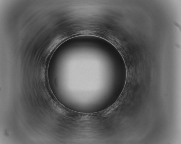 X0000097770098200803141754