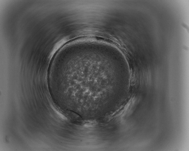 X0000097770099200803141754